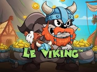 Le Viking screenshot